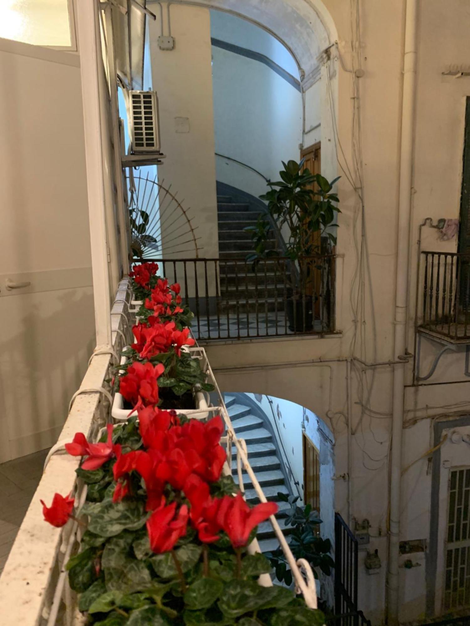 Apartment Casa Orlanda *